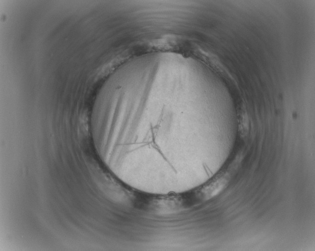 X0000079340466200612082029