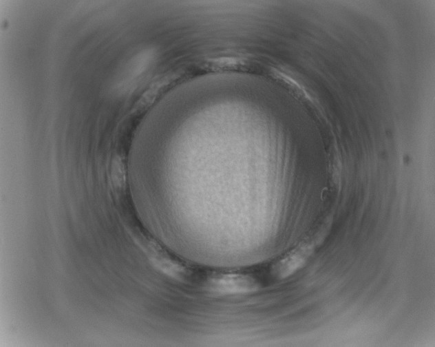 X0000079340467200612082029