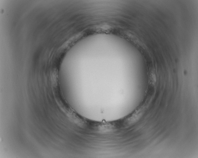 X0000079340468200612082029