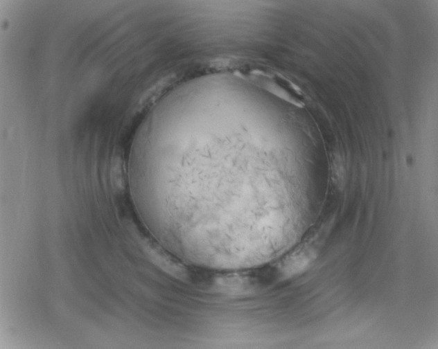 X0000079340470200612082029