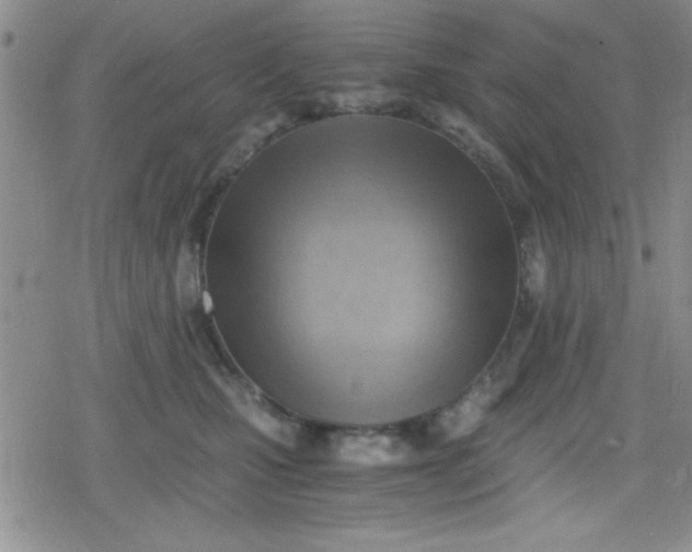 X0000079340471200612082029