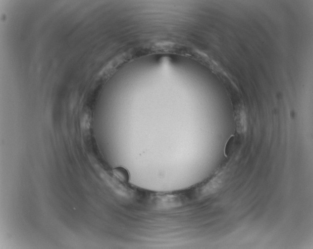 X0000079340472200612082029