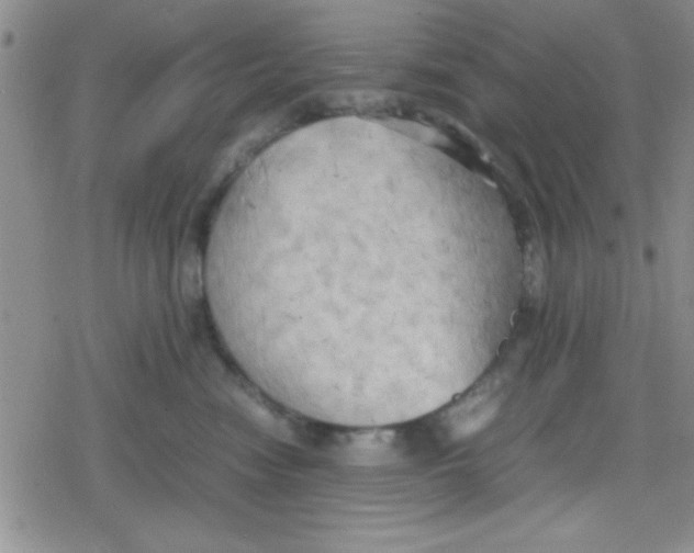 X0000079340474200612082029