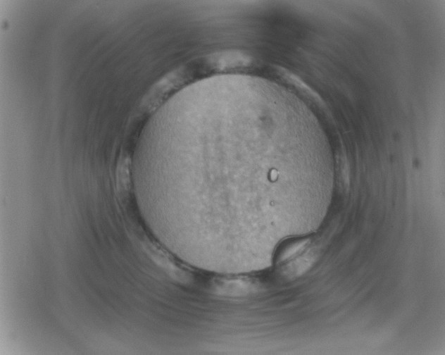 X0000079340475200612082029