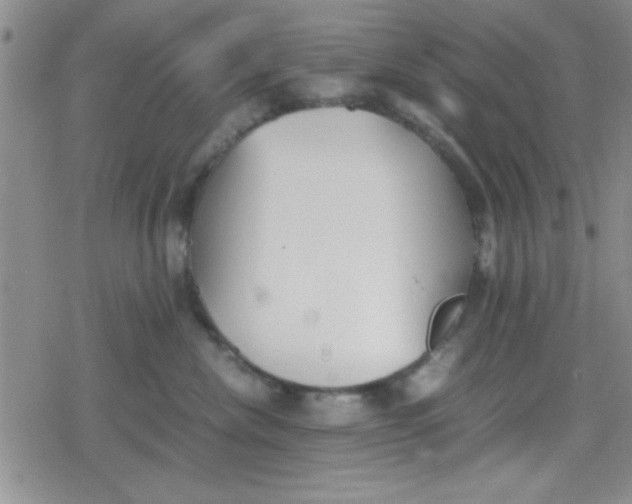 X0000079340476200612082029