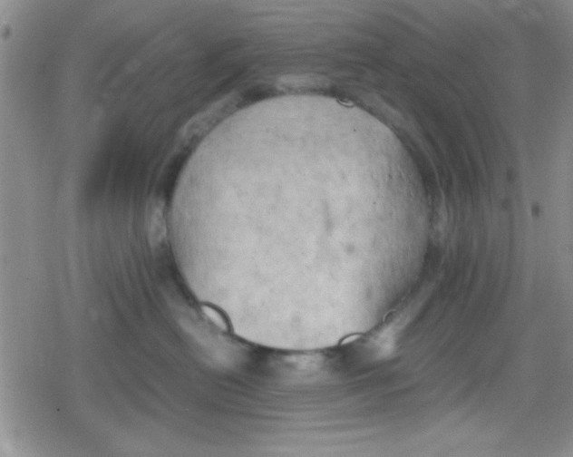 X0000079340478200612082029