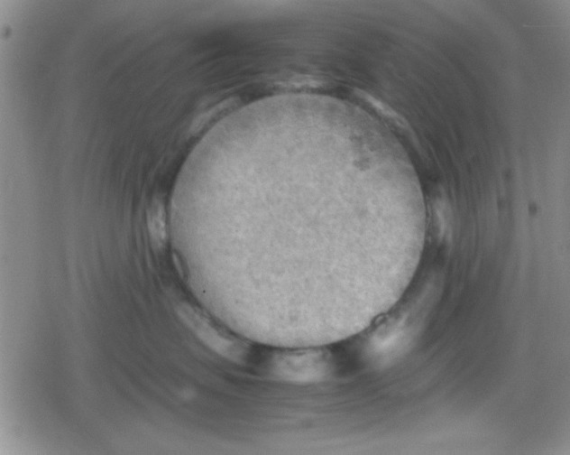 X0000079340479200612082029