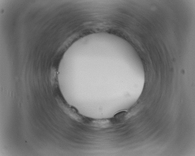 X0000079340480200612082029