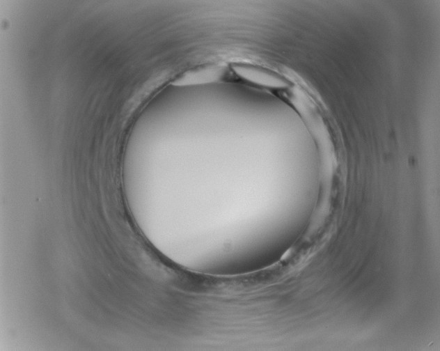 X0000079340481200612082028