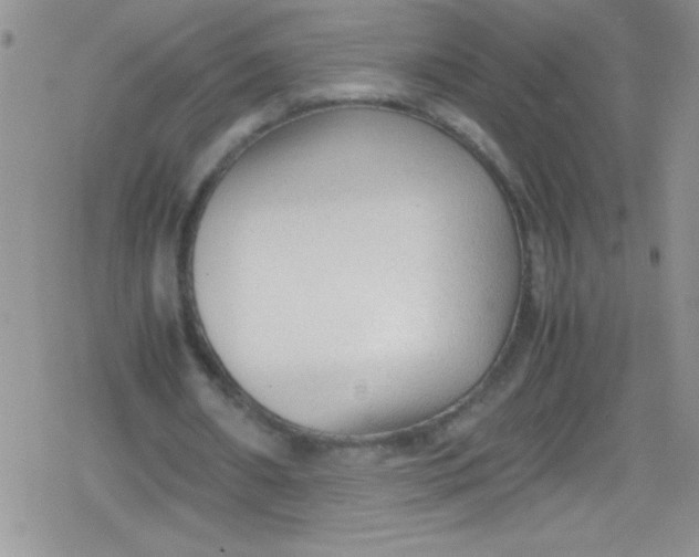 X0000079340482200612082028