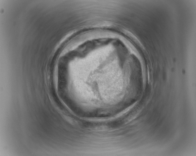 X0000079340483200612082028