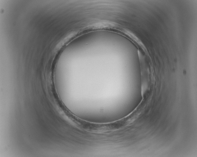 X0000079340485200612082028