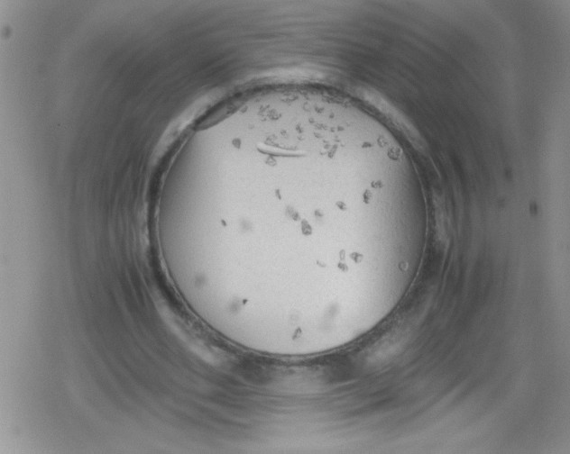 X0000079340486200612082028