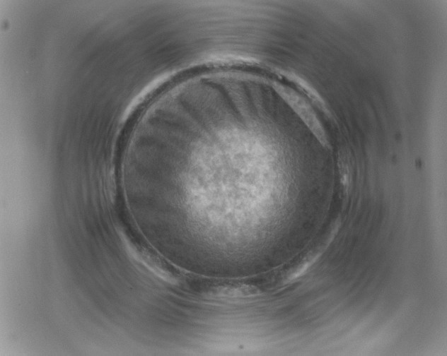 X0000079340488200612082028