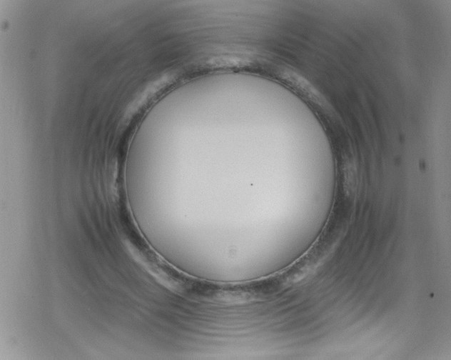 X0000079340490200612082028