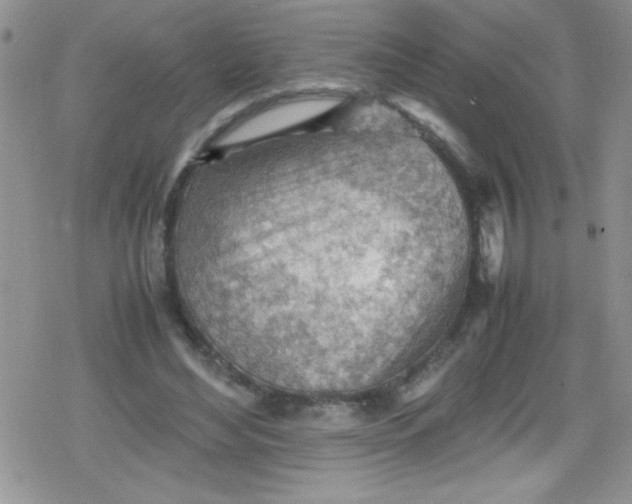 X0000079340492200612082028