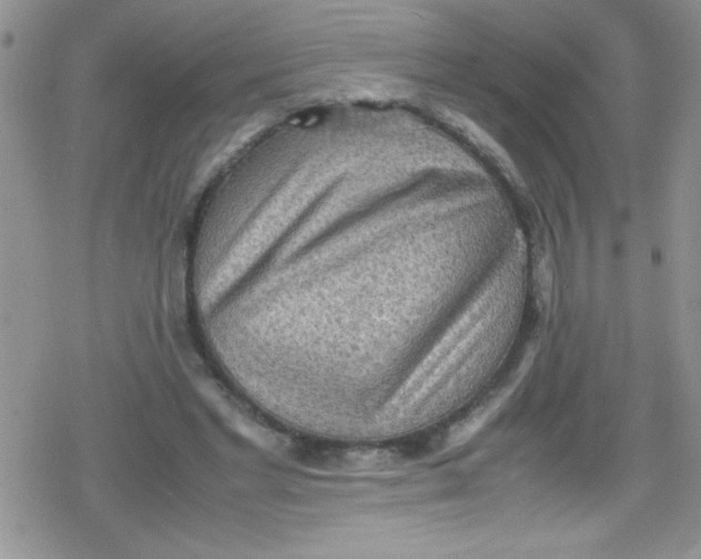 X0000079340493200612082028