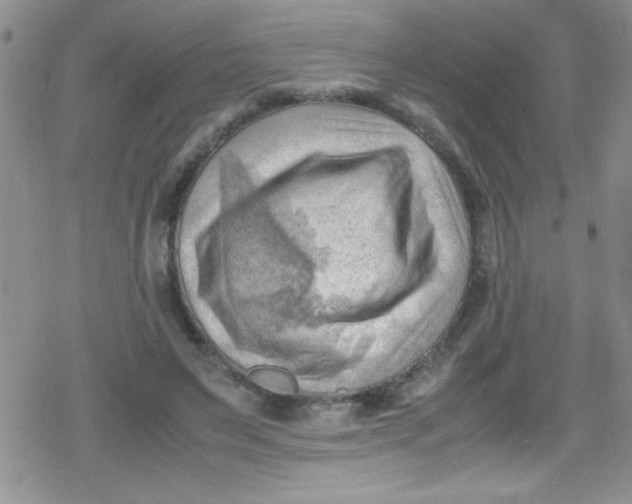 X0000079340495200612082028