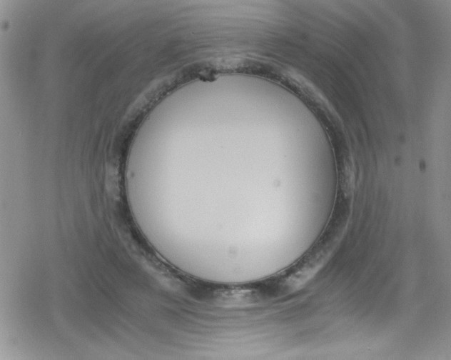 X0000079340497200612082028