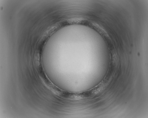 X0000079340498200612082028