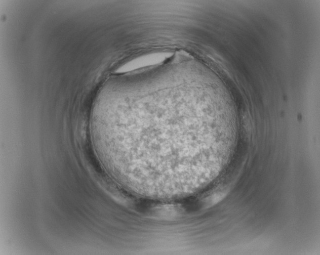 X0000079340499200612082028