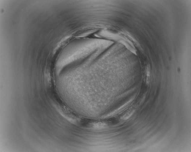 X0000079340500200612082028