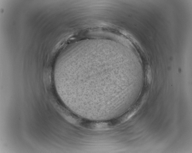 X0000079340501200612082028