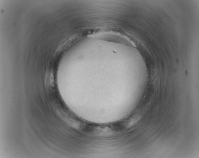 X0000079340502200612082028