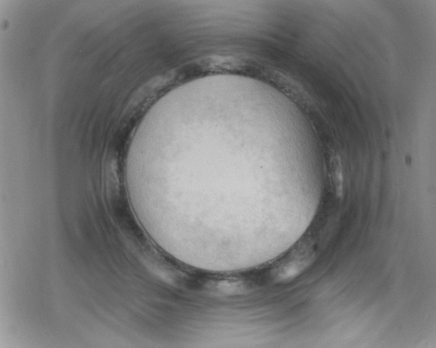 X0000079340506200612082028