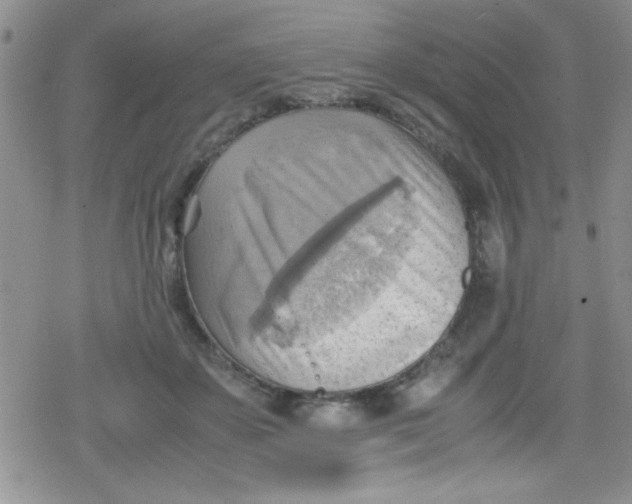 X0000079340507200612082028