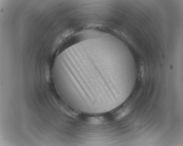 X0000079340508200612082028