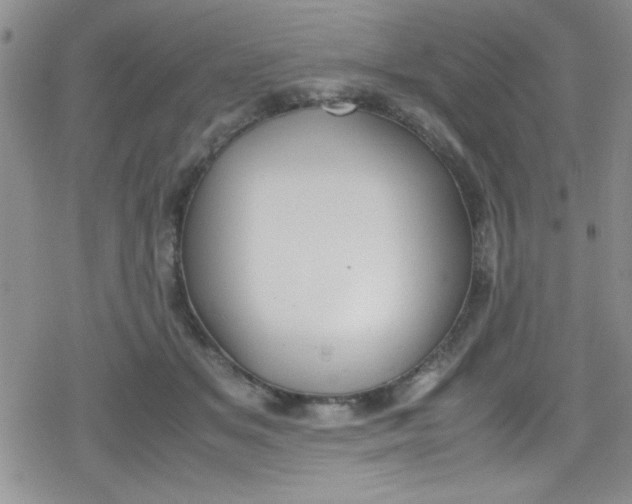 X0000079340509200612082028