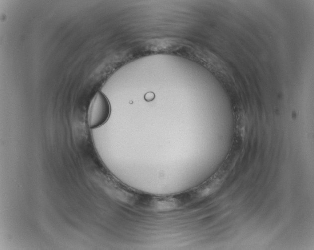 X0000079340510200612082028