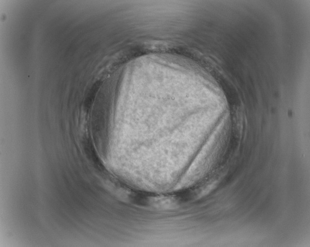 X0000079340511200612082027