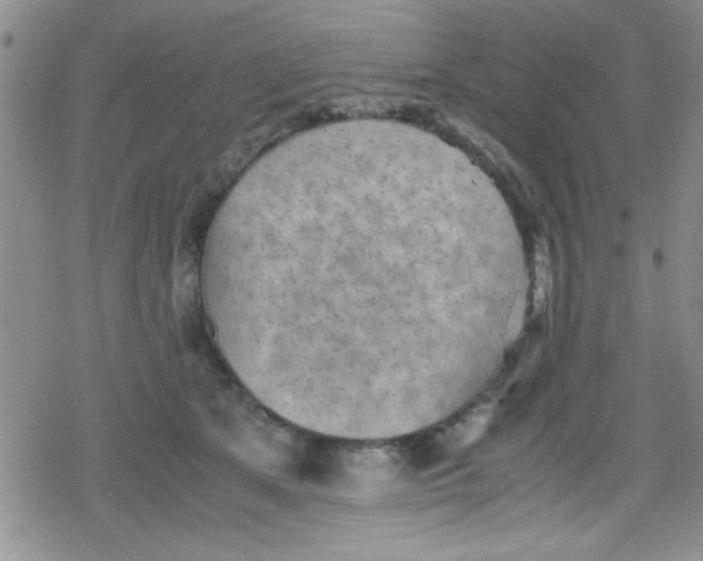 X0000079340513200612082027