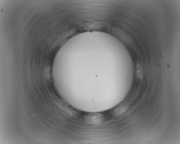 X0000079340514200612082027