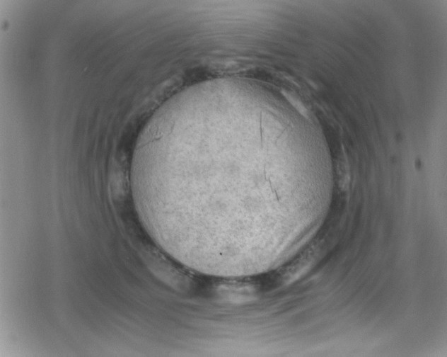 X0000079340515200612082027