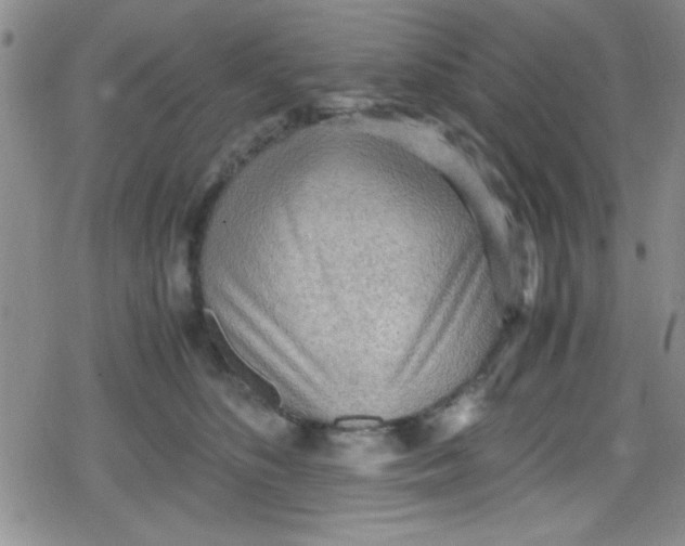 X0000079340516200612082027