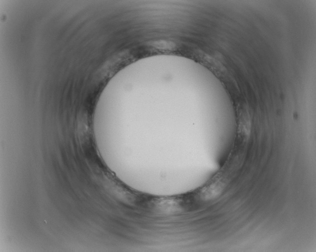 X0000079340518200612082027