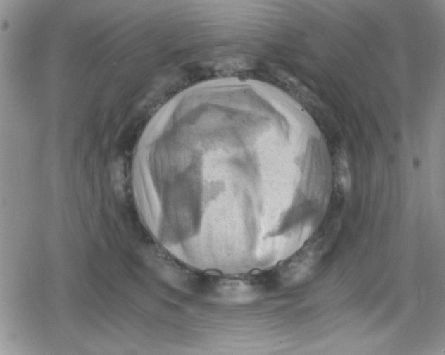 X0000079340519200612082027