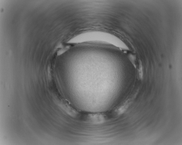 X0000079340520200612082027