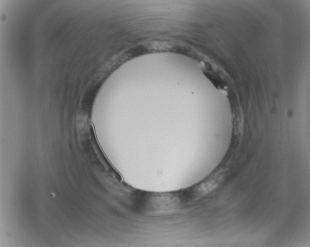 X0000079340521200612082027