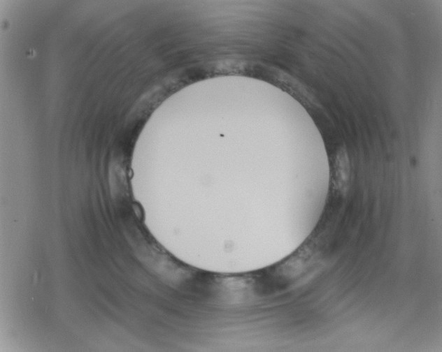 X0000079340522200612082027