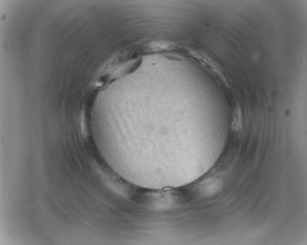 X0000079340524200612082027