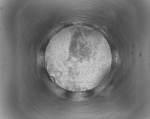 X0000079340527200612082027