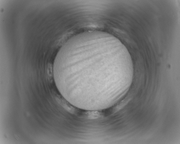 X0000079340528200612082027