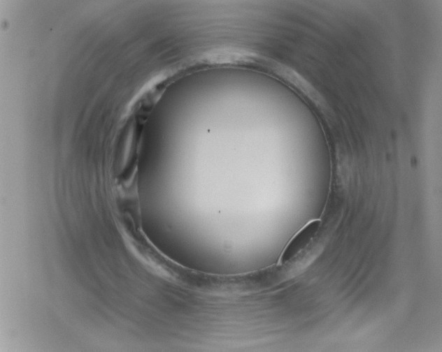 X0000079340530200612082026