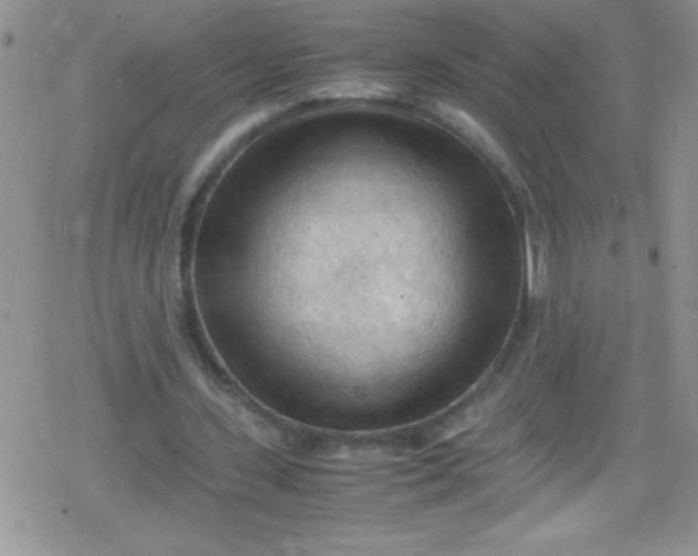 X0000079340531200612082026