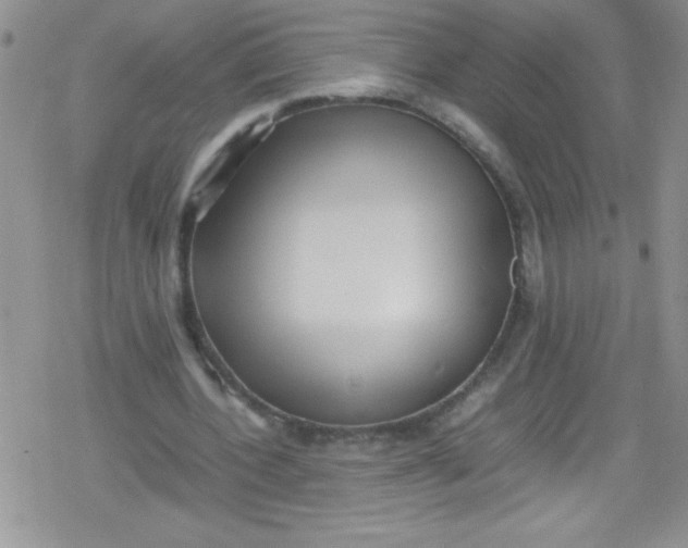 X0000079340532200612082026