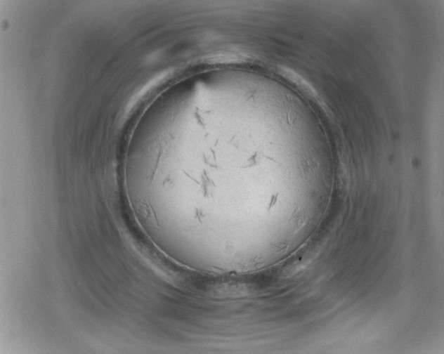 X0000079340535200612082027